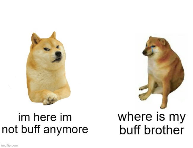 Bad Ending Buff Doge isn't buff anymore :( | im here im not buff anymore; where is my buff brother | image tagged in memes,buff doge vs cheems | made w/ Imgflip meme maker
