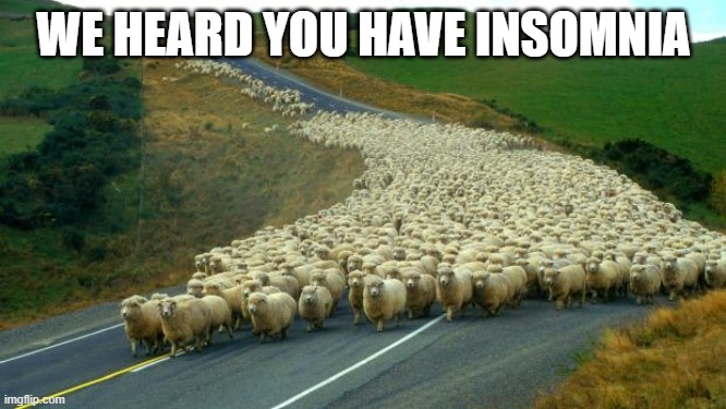 insomnia | WE HEARD YOU HAVE INSOMNIA | image tagged in sheep | made w/ Imgflip meme maker