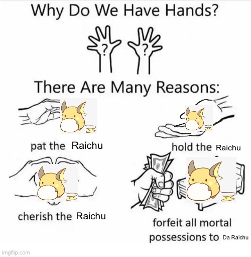I luv raichu | Raichu; Raichu; Raichu; Da Raichu | image tagged in why do we have hands all blank | made w/ Imgflip meme maker