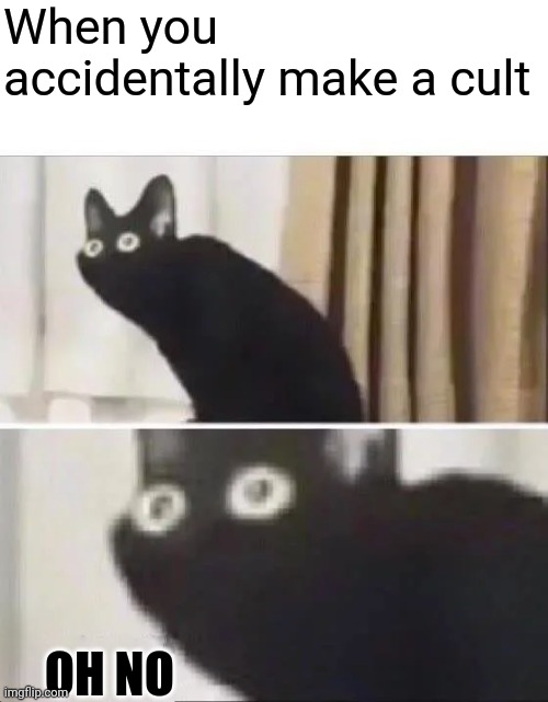 What have I done | When you accidentally make a cult; OH NO | image tagged in oh no black cat,toaster,cult,what the cinnamon toast f is this | made w/ Imgflip meme maker