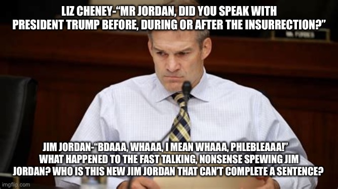 Jim Jordan - stupidity thwarted by facts | LIZ CHENEY-“MR JORDAN, DID YOU SPEAK WITH PRESIDENT TRUMP BEFORE, DURING OR AFTER THE INSURRECTION?”; JIM JORDAN-“BDAAA, WHAAA, I MEAN WHAAA, PHLEBLEAAA!”    
WHAT HAPPENED TO THE FAST TALKING, NONSENSE SPEWING JIM JORDAN? WHO IS THIS NEW JIM JORDAN THAT CAN’T COMPLETE A SENTENCE? | image tagged in jim jordan - stupidity thwarted by facts | made w/ Imgflip meme maker