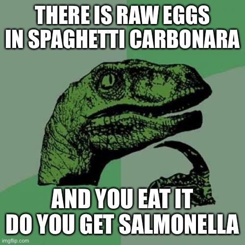 Philosoraptor | THERE IS RAW EGGS IN SPAGHETTI CARBONARA; AND YOU EAT IT DO YOU GET SALMONELLA | image tagged in memes,philosoraptor | made w/ Imgflip meme maker