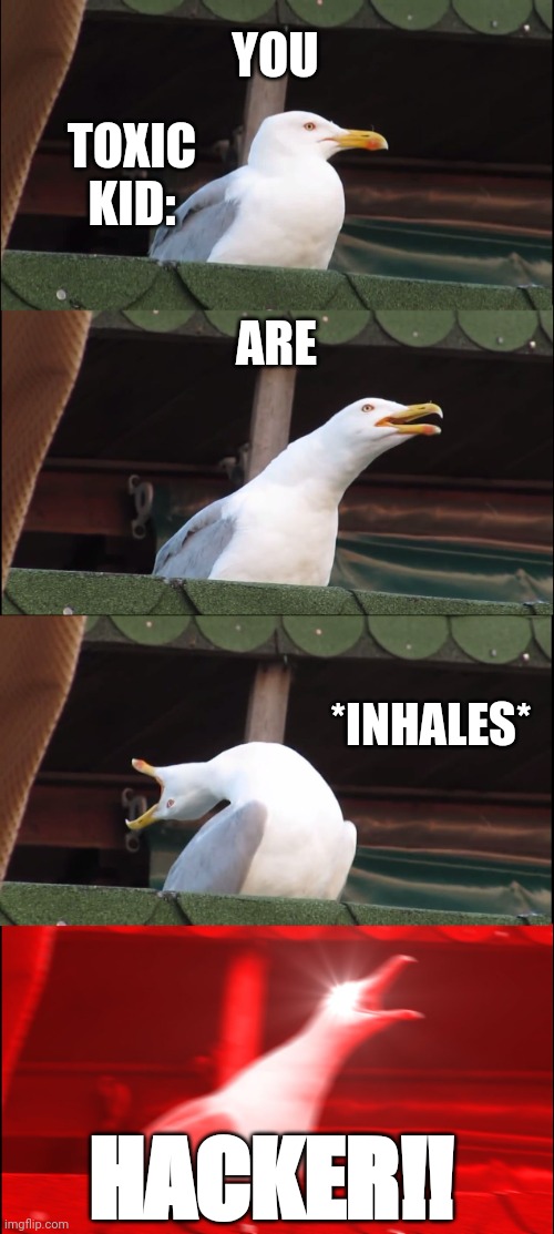 Inhaling Seagull Meme | YOU; TOXIC KID:; ARE; *INHALES*; HACKER!! | image tagged in memes,inhaling seagull,toxic kids be like | made w/ Imgflip meme maker