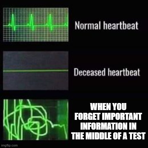 AAAAAAARRRGHFHHHDHFASLFAWEO | WHEN YOU FORGET IMPORTANT INFORMATION IN THE MIDDLE OF A TEST | image tagged in heartbeat rate,help me | made w/ Imgflip meme maker