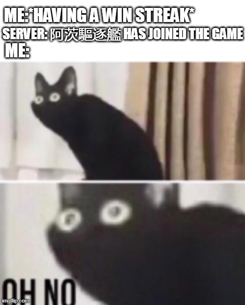 oh no | ME:*HAVING A WIN STREAK*; SERVER: 阿茨驅逐艦 HAS JOINED THE GAME; ME: | image tagged in oh no cat | made w/ Imgflip meme maker