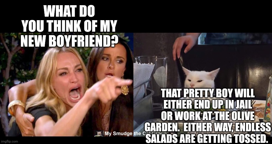 WHAT DO YOU THINK OF MY NEW BOYFRIEND? THAT PRETTY BOY WILL EITHER END UP IN JAIL OR WORK AT THE OLIVE GARDEN.  EITHER WAY, ENDLESS SALADS ARE GETTING TOSSED. | image tagged in smudge the cat | made w/ Imgflip meme maker