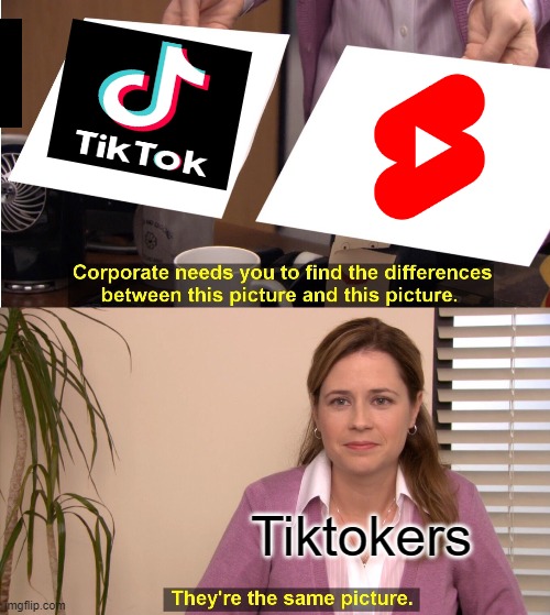 Meme | Tiktokers | image tagged in memes,they're the same picture | made w/ Imgflip meme maker