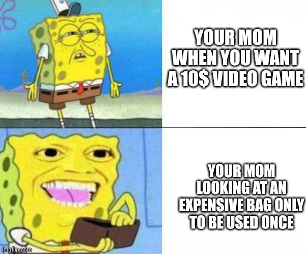 Idk | YOUR MOM WHEN YOU WANT A 10$ VIDEO GAME; YOUR MOM LOOKING AT AN EXPENSIVE BAG ONLY TO BE USED ONCE | image tagged in spongebob ill take your entire stock | made w/ Imgflip meme maker