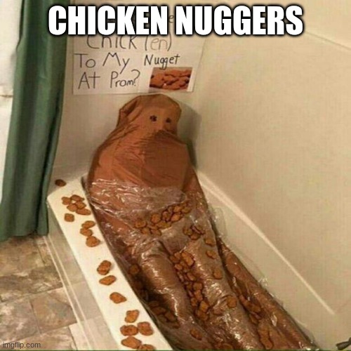 https://www.youtube.com/watch?v=_PH4E2zx8gg | CHICKEN NUGGERS | made w/ Imgflip meme maker