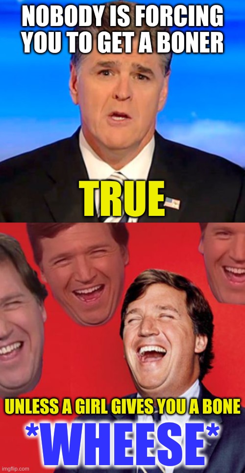 bone(h)er | NOBODY IS FORCING YOU TO GET A BONER; TRUE; UNLESS A GIRL GIVES YOU A BONE; *WHEESE* | image tagged in sean hannity tucker carlson laughing,memes,dark humor,boner | made w/ Imgflip meme maker