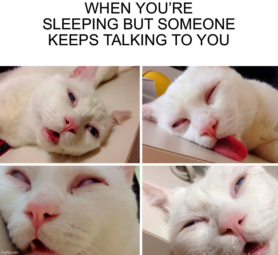 Has this ever happened to you? ;) | WHEN YOU’RE SLEEPING BUT SOMEONE KEEPS TALKING TO YOU | image tagged in memes,funny,cats,sleepy cat,tired,talking | made w/ Imgflip meme maker