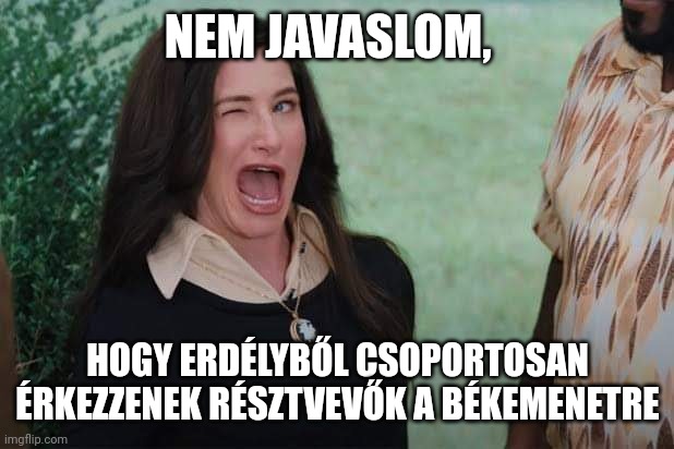 WandaVision Agnes wink | NEM JAVASLOM, HOGY ERDÉLYBŐL CSOPORTOSAN ÉRKEZZENEK RÉSZTVEVŐK A BÉKEMENETRE | image tagged in wandavision agnes wink | made w/ Imgflip meme maker