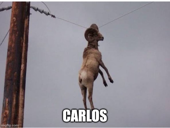 Carlos |  CARLOS | image tagged in carlos | made w/ Imgflip meme maker
