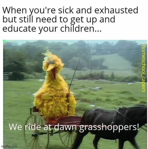 We ride at dawn grasshoppers! | image tagged in memes,funny,dark humor,idk,lol,we ride at dawn bitches | made w/ Imgflip meme maker