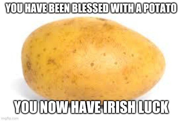Potato | YOU HAVE BEEN BLESSED WITH A POTATO YOU NOW HAVE IRISH LUCK | image tagged in potato | made w/ Imgflip meme maker