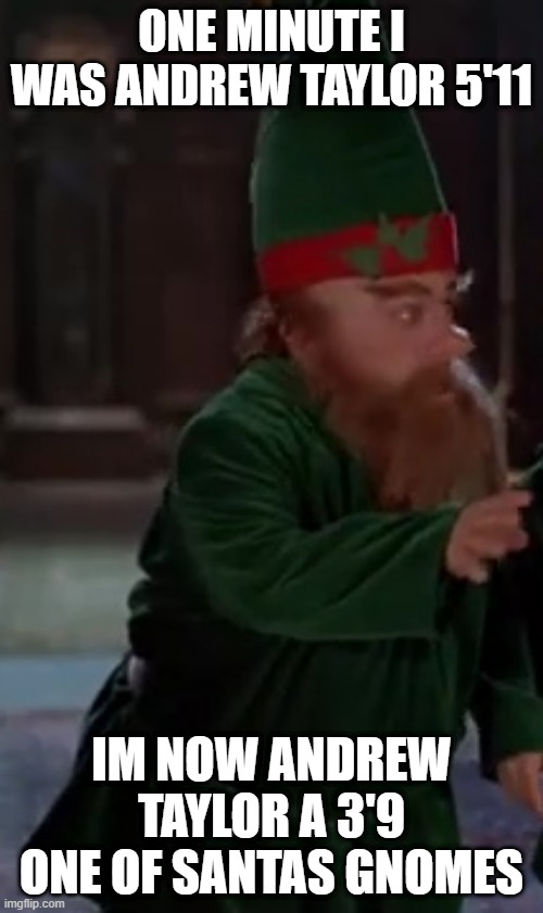Andrew Taylor | ONE MINUTE I WAS ANDREW TAYLOR 5'11; IM NOW ANDREW TAYLOR A 3'9 ONE OF SANTAS GNOMES | image tagged in andrew the gnome | made w/ Imgflip meme maker