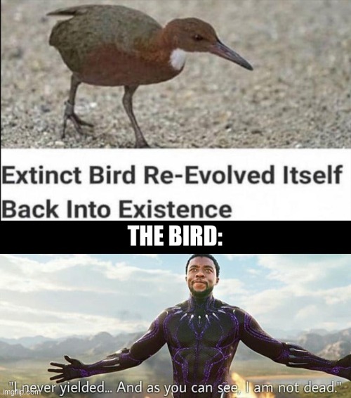 R.I.P Chadwick Boseman | image tagged in as you can see i am not dead,immortal,chadwick boseman,black panther,extinction | made w/ Imgflip meme maker