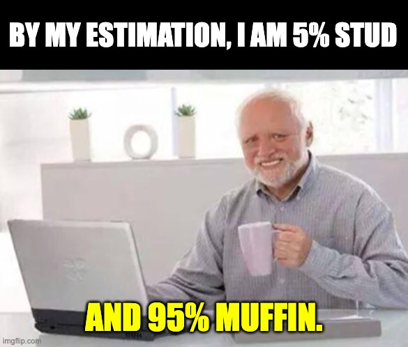 Stud Muffin | BY MY ESTIMATION, I AM 5% STUD; AND 95% MUFFIN. | image tagged in harold | made w/ Imgflip meme maker