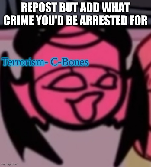 im a terrorist in the making | REPOST BUT ADD WHAT CRIME YOU'D BE ARRESTED FOR; Terrorism- C-Bones | image tagged in sarv pog | made w/ Imgflip meme maker