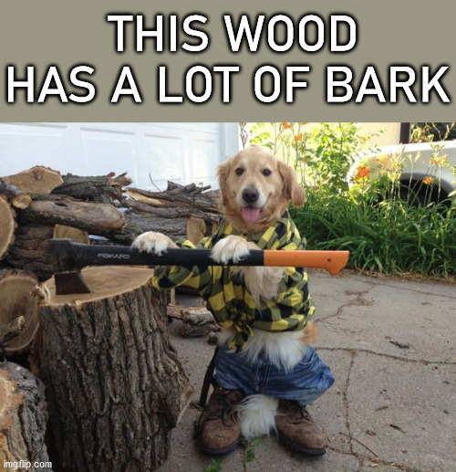 THIS WOOD HAS A LOT OF BARK | image tagged in dogs | made w/ Imgflip meme maker