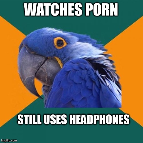 Paranoid Parrot Meme | WATCHES PORN STILL USES HEADPHONES | image tagged in memes,paranoid parrot | made w/ Imgflip meme maker