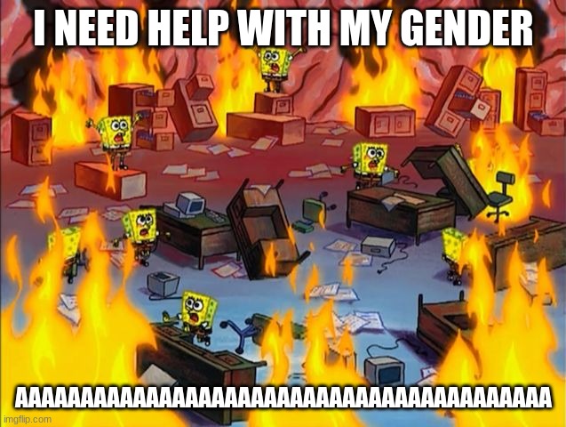 details in comments | I NEED HELP WITH MY GENDER; AAAAAAAAAAAAAAAAAAAAAAAAAAAAAAAAAAAAAAAAA | image tagged in spongebob fire | made w/ Imgflip meme maker