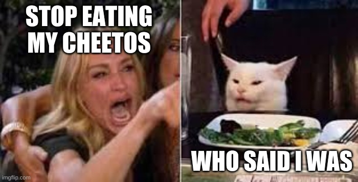 Woman shouting at cat | STOP EATING MY CHEETOS; WHO SAID I WAS | image tagged in woman shouting at cat,funny | made w/ Imgflip meme maker