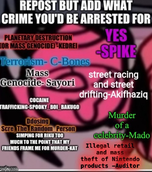 Illegal retail and mass theft of Nintendo products -Auditor | made w/ Imgflip meme maker
