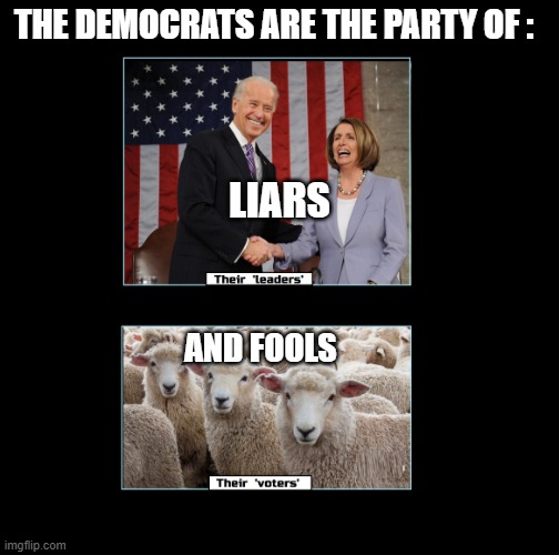 LIARS AND FOOLS | THE DEMOCRATS ARE THE PARTY OF :; LIARS; AND FOOLS | image tagged in liars and fools | made w/ Imgflip meme maker