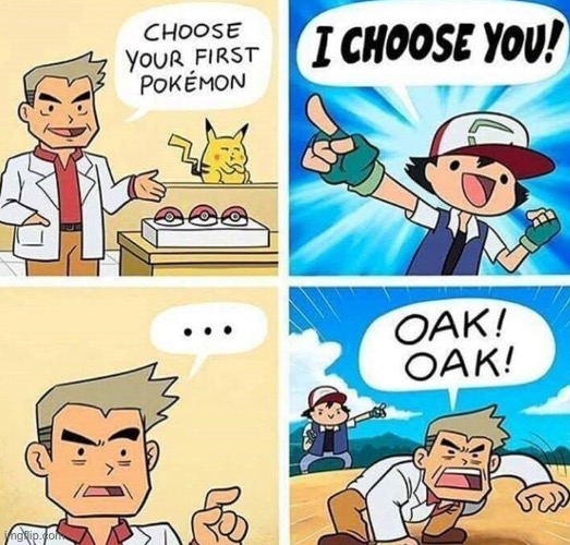 I CHOOSE YOU! (I actually hate pokemon) | image tagged in bruh,pokemon sucks | made w/ Imgflip meme maker