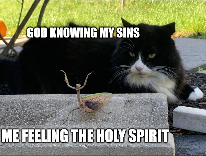 It do be like that | GOD KNOWING MY SINS; ME FEELING THE HOLY SPIRIT | image tagged in god,church,holy spirit | made w/ Imgflip meme maker