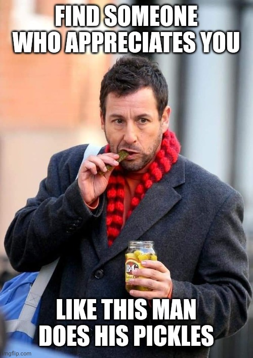 Finer things in life | FIND SOMEONE WHO APPRECIATES YOU; LIKE THIS MAN DOES HIS PICKLES | image tagged in adam sandler,lol so funny,funny memes | made w/ Imgflip meme maker