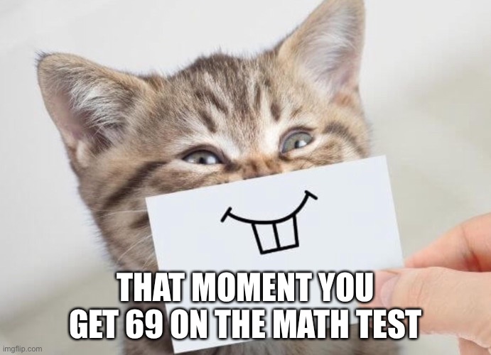 Meow meow 69 | THAT MOMENT YOU GET 69 ON THE MATH TEST | image tagged in meow,meow meow | made w/ Imgflip meme maker