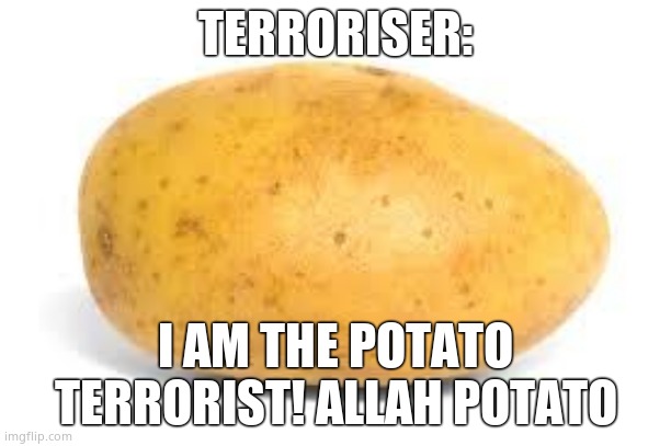 Potato | TERRORISER:; I AM THE POTATO TERRORIST! ALLAH POTATO | image tagged in potato | made w/ Imgflip meme maker