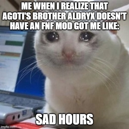 I have realized the Aldryx andrenoma mod does not exist(Aka agoti's brother) | ME WHEN I REALIZE THAT AGOTI'S BROTHER ALDRYX DOESN'T HAVE AN FNF MOD GOT ME LIKE:; SAD HOURS | image tagged in crying cat | made w/ Imgflip meme maker