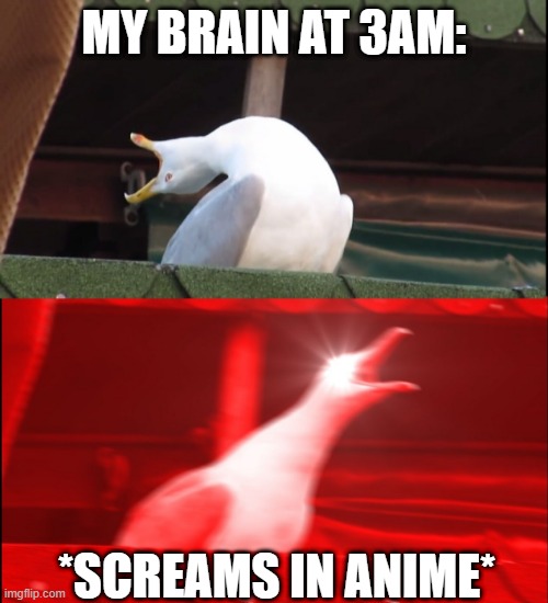 ; - ; it happens | MY BRAIN AT 3AM:; *SCREAMS IN ANIME* | image tagged in screaming bird | made w/ Imgflip meme maker