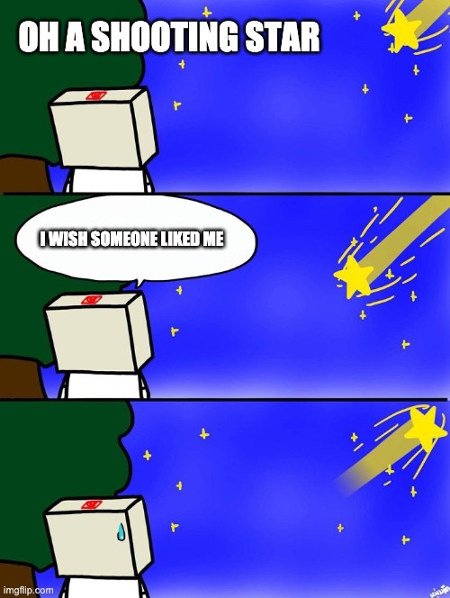 True Facts | OH A SHOOTING STAR; I WISH SOMEONE LIKED ME | image tagged in so true memes | made w/ Imgflip meme maker