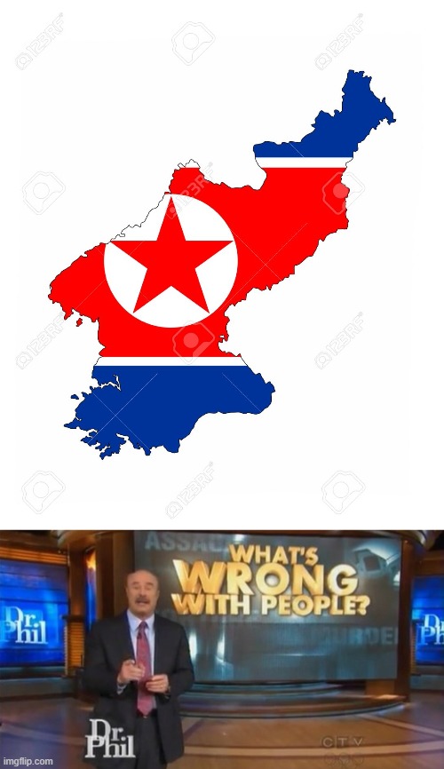 North Korea Is Killing Random People | image tagged in dr phil what's wrong with people,north korea | made w/ Imgflip meme maker