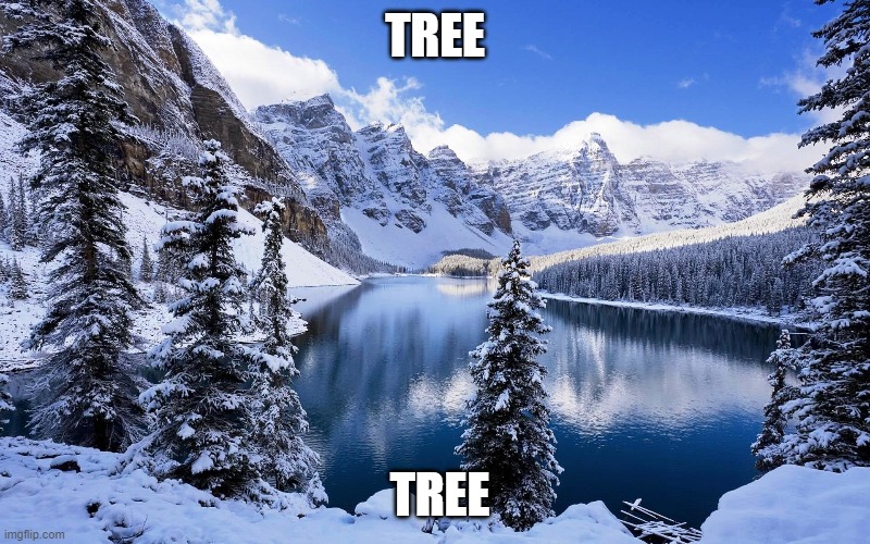 tree | TREE; TREE | image tagged in funny memes,tree | made w/ Imgflip meme maker