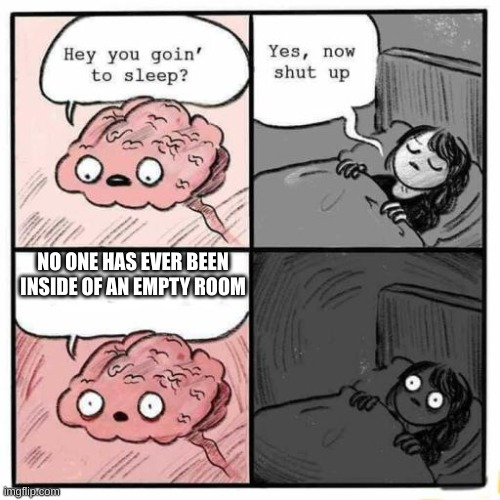 Hey you going to sleep? | NO ONE HAS EVER BEEN INSIDE OF AN EMPTY ROOM | image tagged in hey you going to sleep | made w/ Imgflip meme maker
