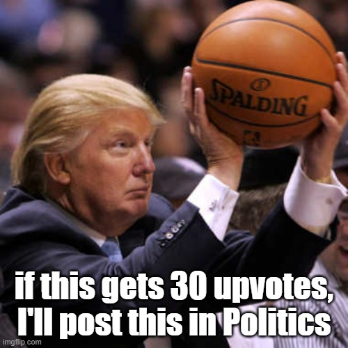 I mean, it does have Trump | if this gets 30 upvotes, I'll post this in Politics | image tagged in trump basketball | made w/ Imgflip meme maker
