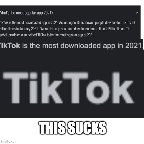 comment "e" if you like tiktok (ofc noone will do it:P) | THIS SUCKS | image tagged in memes,tiktok | made w/ Imgflip meme maker