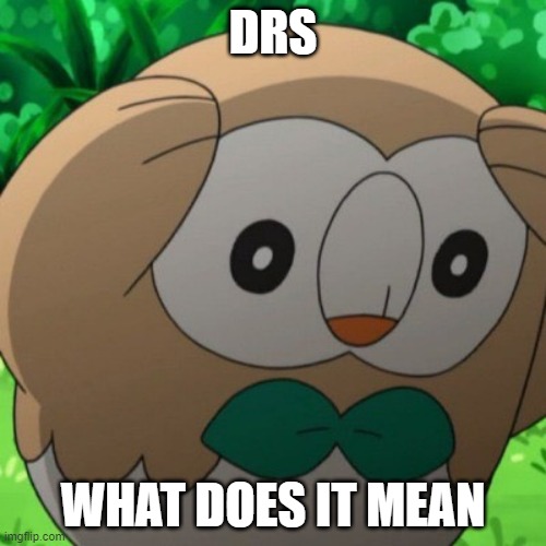 Hint: They are three Pokemon in a new game | DRS; WHAT DOES IT MEAN | image tagged in rowlet meme template,pokemon | made w/ Imgflip meme maker