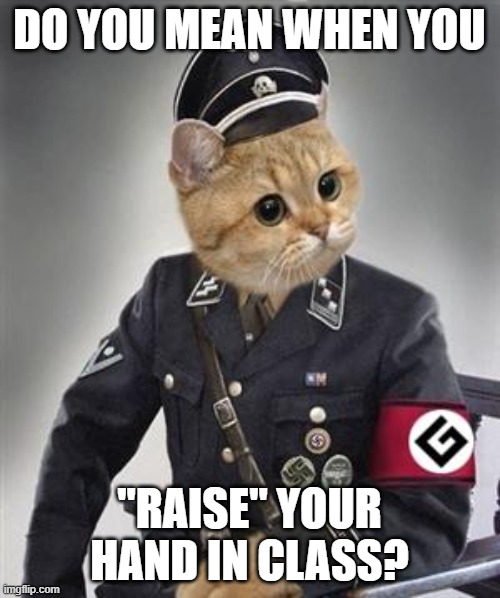 Grammar Nazi Cat | DO YOU MEAN WHEN YOU "RAISE" YOUR HAND IN CLASS? | image tagged in grammar nazi cat | made w/ Imgflip meme maker