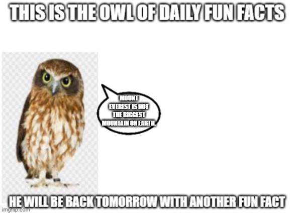 the biggest is underwater | MOUNT EVEREST IS NOT THE BIGGEST MOUNTAIN ON EARTH. | image tagged in the owl of fun facts | made w/ Imgflip meme maker