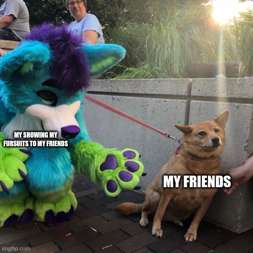 furry boi | MY SHOWING MY FURSUITS TO MY FRIENDS; MY FRIENDS | image tagged in dog afraid of furry | made w/ Imgflip meme maker