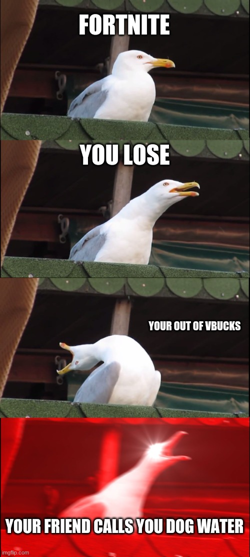 this meme is bosss | FORTNITE; YOU LOSE; YOUR OUT OF VBUCKS; YOUR FRIEND CALLS YOU DOG WATER | image tagged in memes,inhaling seagull | made w/ Imgflip meme maker