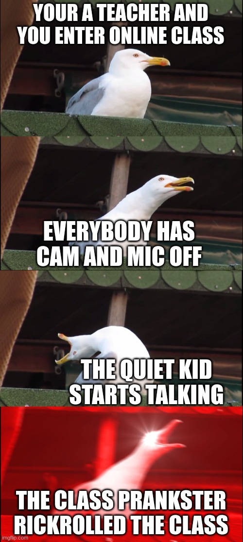 Inhaling Seagull | YOUR A TEACHER AND YOU ENTER ONLINE CLASS; EVERYBODY HAS CAM AND MIC OFF; THE QUIET KID STARTS TALKING; THE CLASS PRANKSTER RICKROLLED THE CLASS | image tagged in memes,inhaling seagull | made w/ Imgflip meme maker