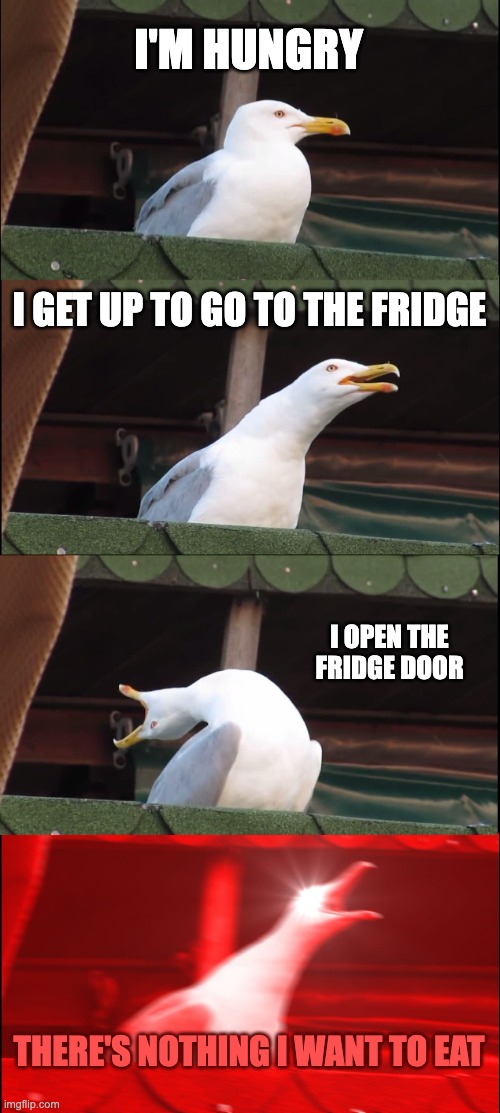 I'M HUNGRY | I'M HUNGRY; I GET UP TO GO TO THE FRIDGE; I OPEN THE FRIDGE DOOR; THERE'S NOTHING I WANT TO EAT | image tagged in memes,inhaling seagull,hungry,fridge,seagull,funny | made w/ Imgflip meme maker