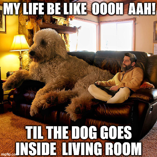 MY LIFE BE LIKE  OOOH  AAH! TIL THE DOG GOES INSIDE  LIVING ROOM | made w/ Imgflip meme maker